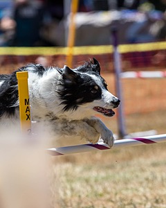 20160618-CCKC-1444.jpg