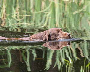 20160604-SEAW-0015.jpg