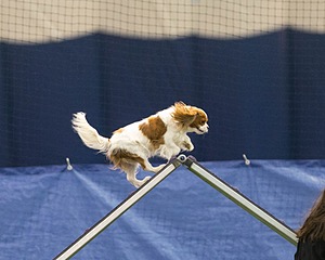 20150321-LEAP-1635.jpg