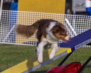 20230916-PVKC-1697.jpg