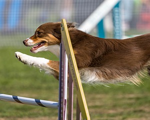 20220917-PVKC-0202.jpg