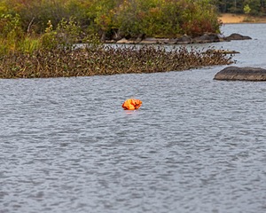 20171007-C-0029.jpg