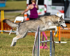20180617-1634.jpg