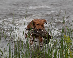 20080531-HRW-0214.jpg