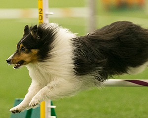 20150321-LEAP-1506.jpg