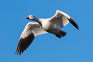 20151206-3529.jpg