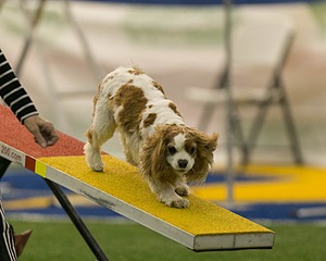 20150321-LEAP-1604.jpg