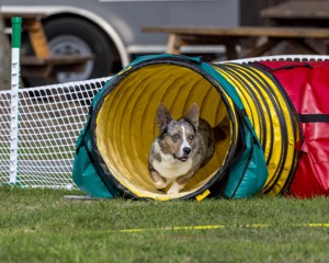 20220917-PVKC-1124.jpg