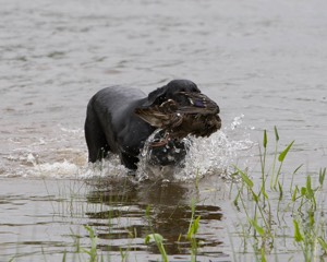 20080531-HRW-0133.jpg