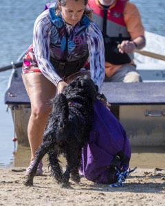 Moana Sardelli