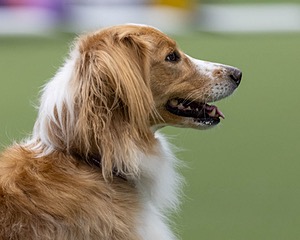 20260221-C-0010.jpg