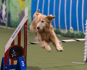 Ava Finocchiaro