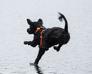 Sedona O'Brien