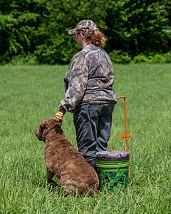 Hunter Law