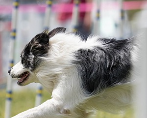 20160514-NEAT-0687.jpg