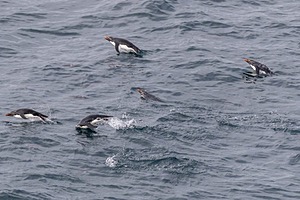 20191218-0876.jpg