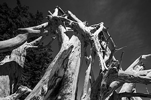 20180708-1057.jpg