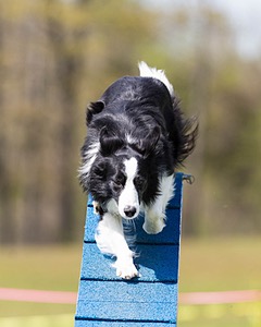 20160514-NEAT-1128.jpg