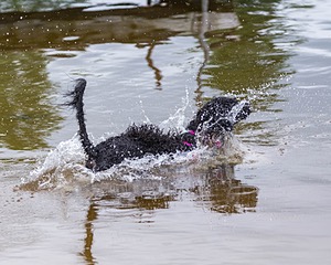 "Tango" & Cathy