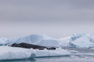 20260320-0167.jpg