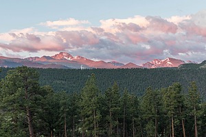 20200622-3134.jpg