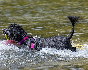 Tango Abbruzzese