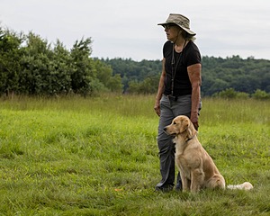 Meadow
