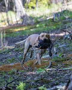 20220604-SHW-1950.jpg