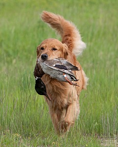 20080531-HRL-0056.jpg