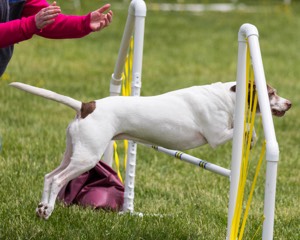 Amy Frey