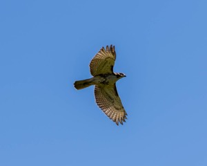 20160925-C-0045.jpg