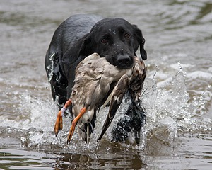 20080531-HRW-0587.jpg