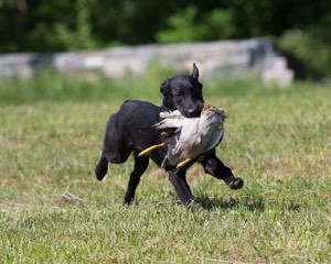 20130601-SHRL-0408.jpg