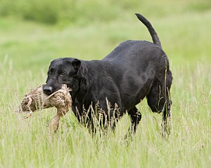 20080531-HRL-0387.jpg