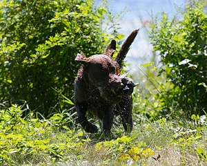 20130811-SHW-0007.jpg