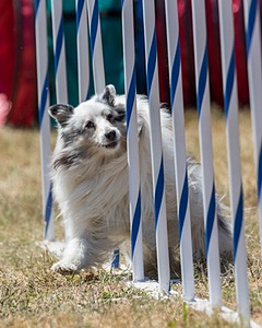 20160618-CCKC-1948.jpg
