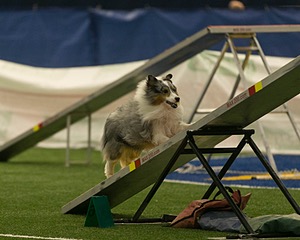 20150321-LEAP-1333.jpg