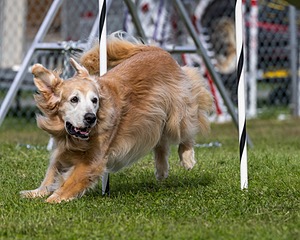 20230917-PVKC-2825.jpg