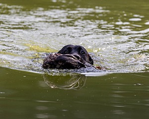 Bouy McClure