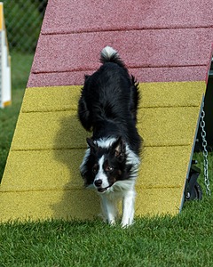 20200819-0609.jpg