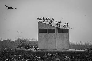 20230711-0383.jpg