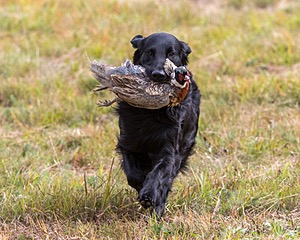 20161008-WCL-0016.jpg