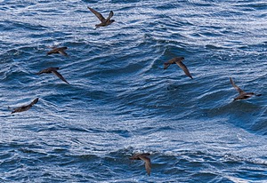 20260325-0085.jpg