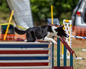 20160619-CCKC-1348.jpg