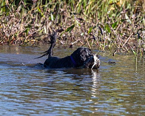 20191005-WCW-0020.jpg