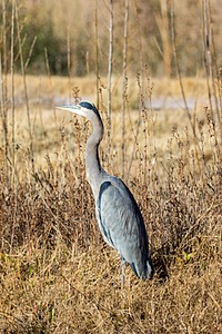 20151206-1750.jpg