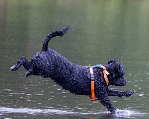 Rio Abbruzzese
