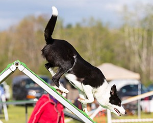 20160515-NEAT-0031.jpg