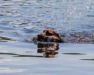 20190804-SHW-0004.jpg