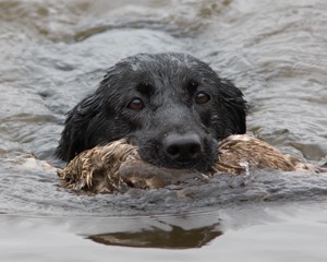 20080531-HRW-0673.jpg